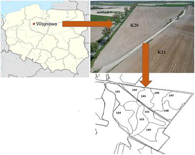 Fungal Indicators of Sensitivity and Resistance to Long-Term Maize Monoculture: A Culture-Independent Approach